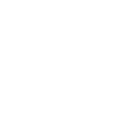 005 development